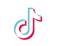 Annunci con profilo TikTok